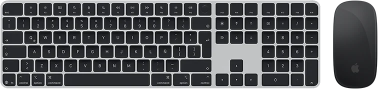Vista desde arriba de un Magic Keyboard con Touch ID y un Magic Mouse