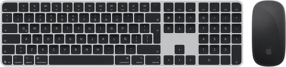Vista desde arriba de un Magic Keyboard con Touch ID y un Magic Mouse