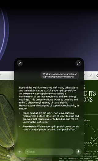 Demostración de Siri e Inteligencia Visual, consulta de un usuario sobre un tema en un PDF en la pantalla de una Mac, ¿Qué otros ejemplos hay de superhidrofobicidad en la naturaleza?, respuesta de Siri